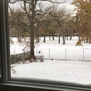 Meet your Posher, Lynn